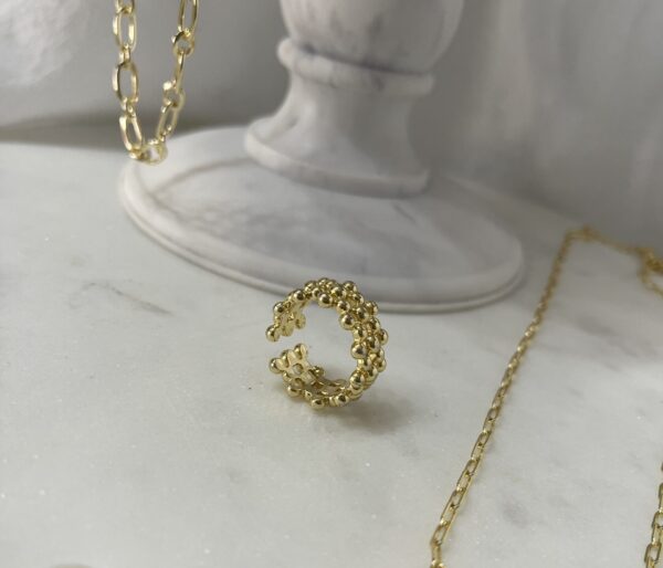 Anillo Iris