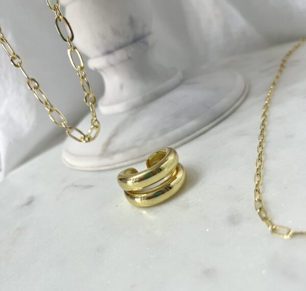 Anillo Aelia