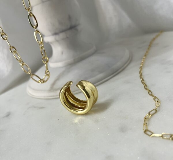 Anillo Aelia - Imagen 2
